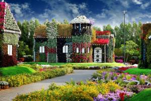 В Дубае открылся обновленный цветочный парк Miracle Garden