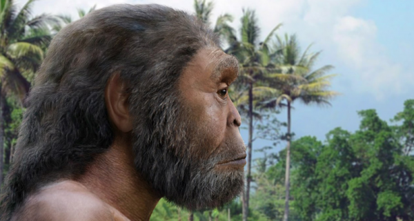 Homo erectus умели запасать еду впрок