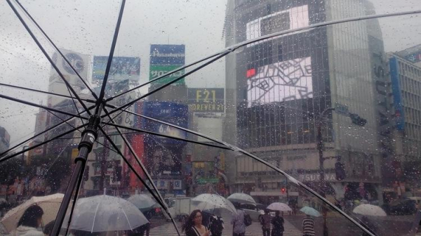 
Япония пережила сильный тайфун. Туристы пока не могут вернуться домой
