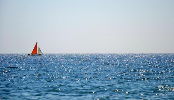 
Черное море может быть чистым, но надо знать места
