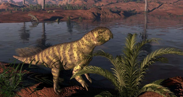 Четвероногие динозавры могли с возрастом переходить к двуногости