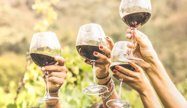 
TUI приглашает на винный фестиваль на Кипре!

