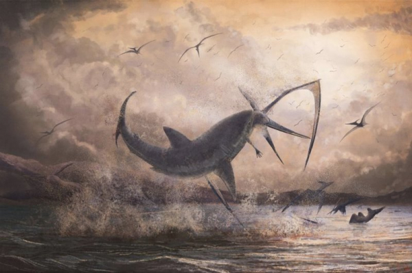 Застрявший в скелете птерозавра акулий зуб рассказал о древней схватке