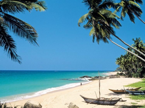 
Шри-Ланка вводит новые требования для туристов и просит за визу уже 100 долларов США
