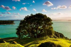 Новозеландские нудисты ждут нового хозяина своего парка