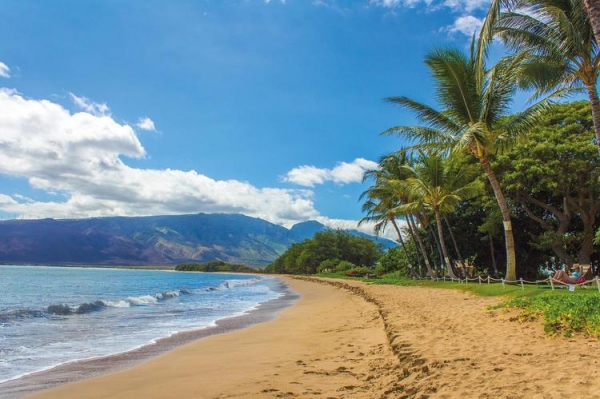 
Настоящую бомбу неизвестного происхождения выбросило на туристический пляж на Гавайях
