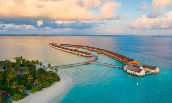 
Почему Мальдивы популярны этим летом ?
