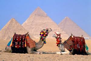 Молчание египтян: власти страны скрывают данные о количестве туристов