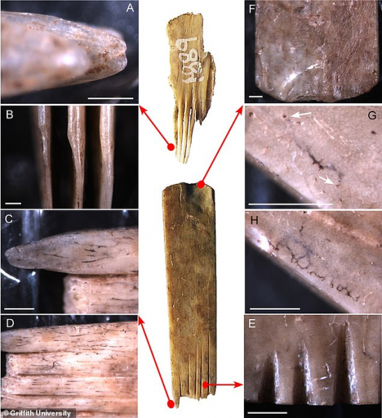 Найден самый древний инструментарий для набивки тату