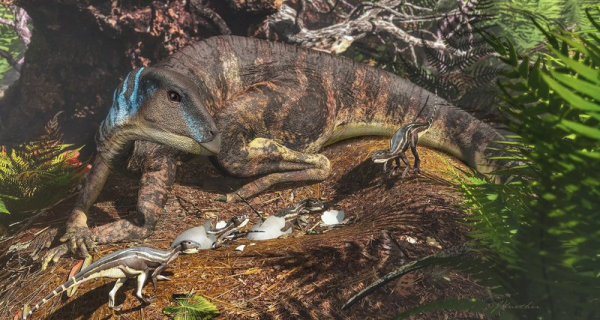 В Австралии найдены детеныши динозавров