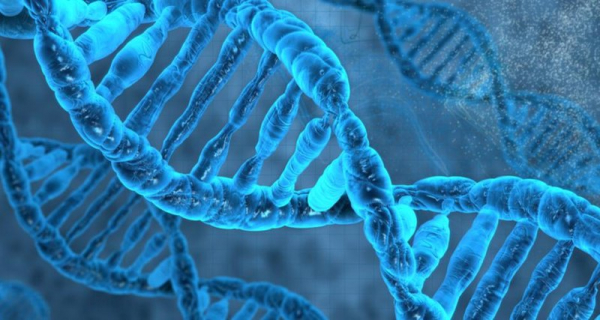 Синтезирована «инопланетная» ДНК