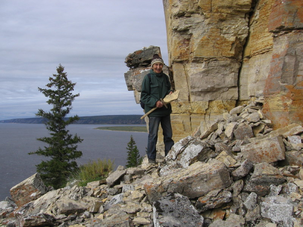Сибирские ученые исследуют палеогрибы: древние загадки природы