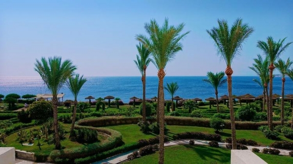 
Египет открывает туристам курорты Красного моря. Какие перспективы у россиян?
