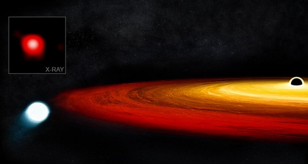 Звезда будет «танцевать стриптиз» черной дыре в течение триллиона лет