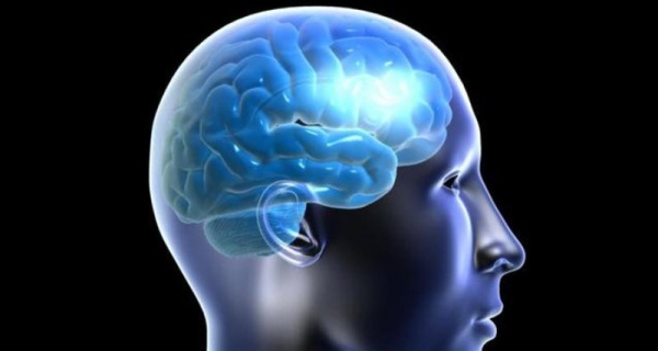 Российские ученые нашли в здоровом мозге уникальный белок