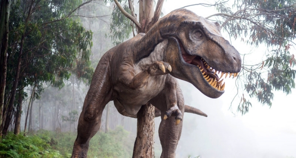 Найдены новые доказательства теплокровности динозавров