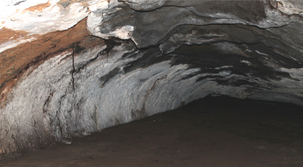 Вулканические пещеры скрывали редкий вид подземных монстров
