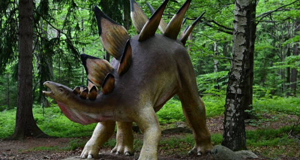 Найден самый древний стегозавр