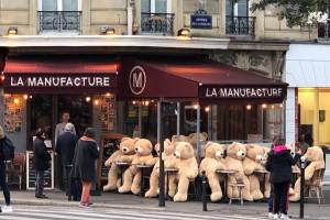 Армия плюшевых медведей захватила 13-й округ Парижа 