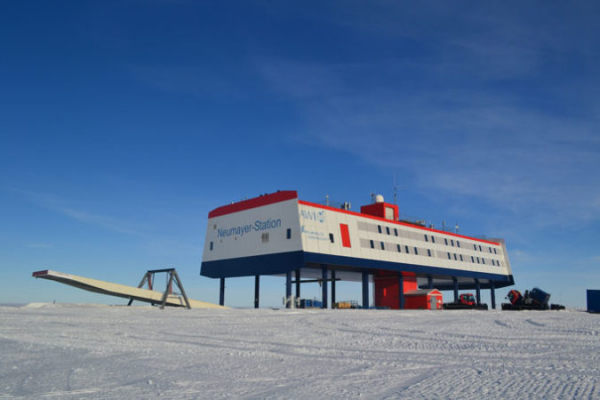 14-месячное пребывание в Антарктиде уменьшило мозг полярников