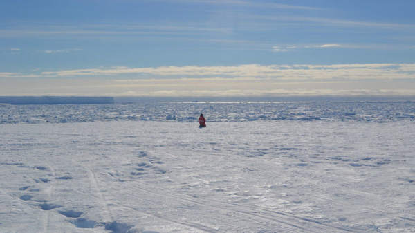 14-месячное пребывание в Антарктиде уменьшило мозг полярников