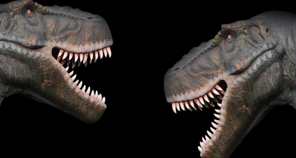 Чем отличались динозавры мужского и женского пола