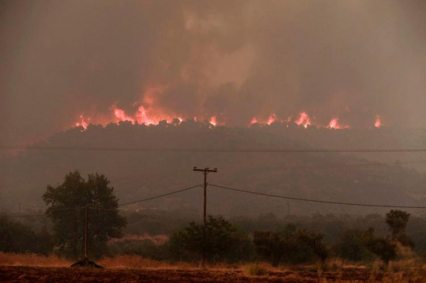 
Греция в огне: пожары распространяются слишком быстро

