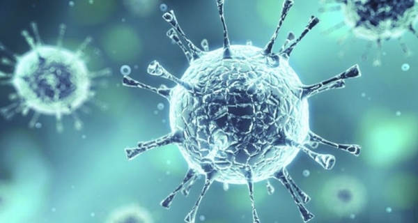 Ученые опубликовали результаты классификации китайского коронавируса