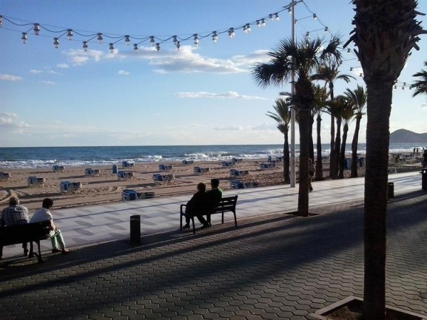 
На испанском курорте Бенидорм пляжи вновь расчертят на квадраты безопасности. Места всем не хватит
