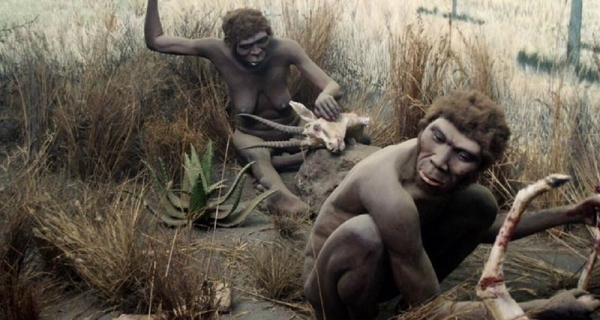Homo erectus имели способность к развитию