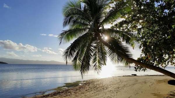 
На остров Фиджи в 2022 году приедут 447 000 иностранных туристов
