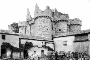 Старинный французский замок распродают за 50 евро