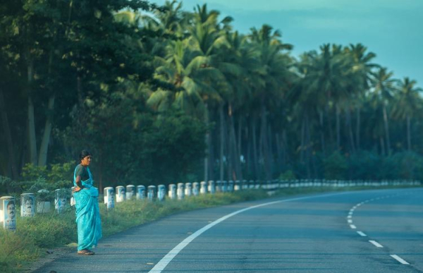 
Индия строит самую длинную скоростную магистраль от Дели до Мумбаи
