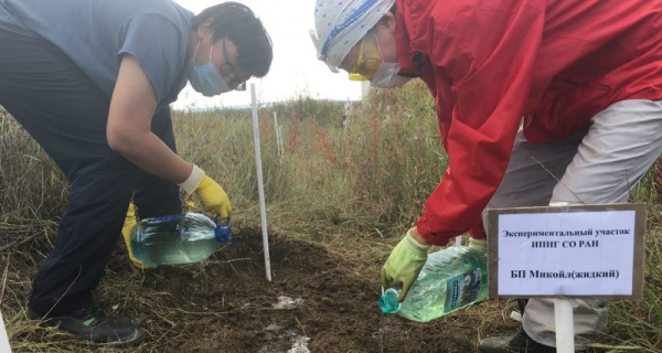 В Якутии найдены поедающие нефть морозостойкие микробы