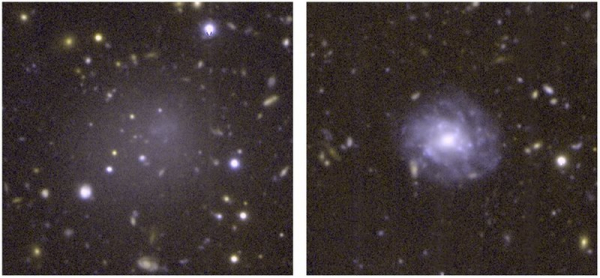 Обнаружена одинокая «анемичная» галактика