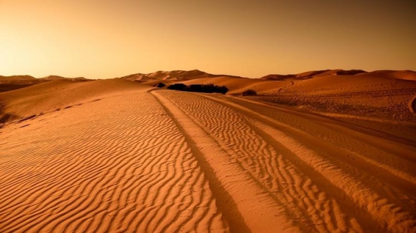 
Как организовать путешествие на автомобиле по настоящей пустыне?
