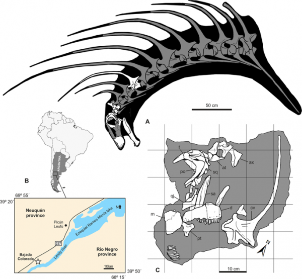 Найден ранее неизвестный травоядный динозавр с длинными шипами на шее