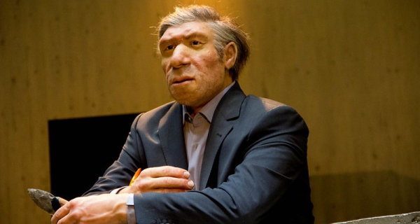 Найдено новое подтверждение интеллекта неандертальцев