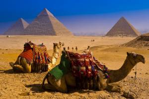 «Чартеры на египетские курорты». Четвертый сезон. Сочи, октябрь 2018 года