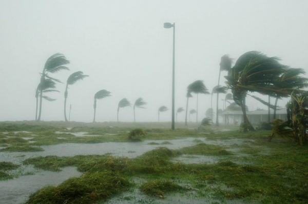 
Ураган Иэн набирает силу, аэропорты и тематические парки закрыты, круизы отменены
