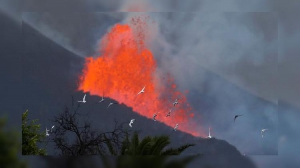 
Извержение вулкана на Канарах продолжается. Самолеты по-прежнему не летают
