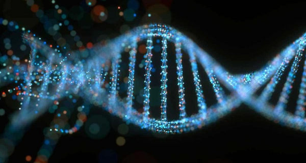 Обнаружено более миллиона альтернатив ДНК