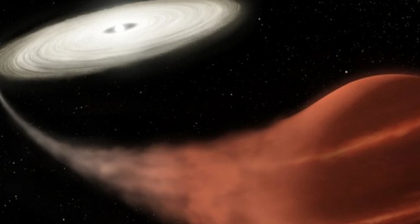 Астрономы обнаружили «звезду-вампира»