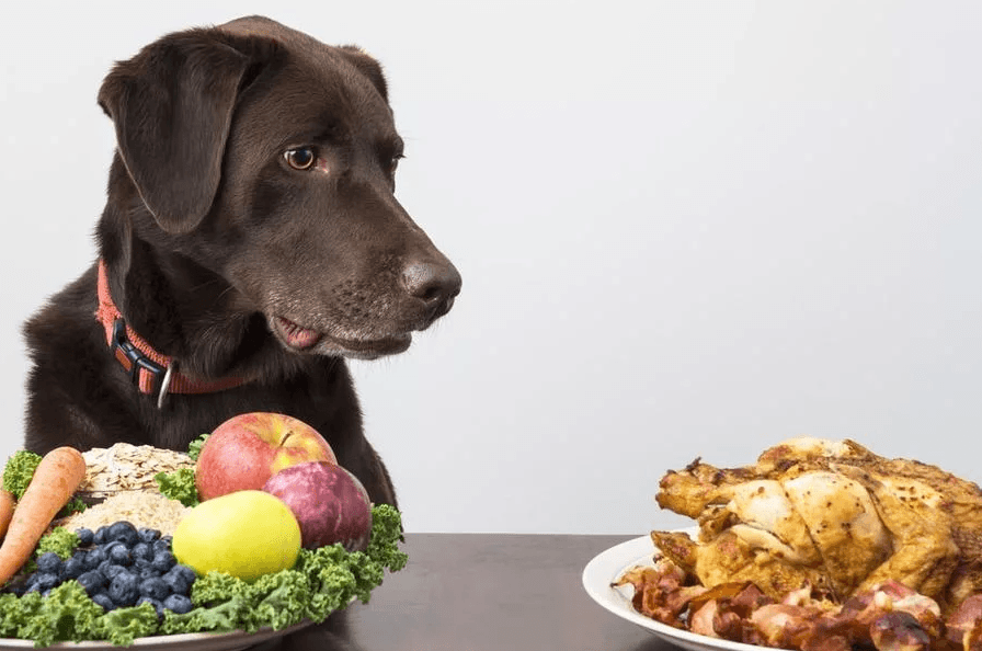 Какая пища людей безопасна для собак?